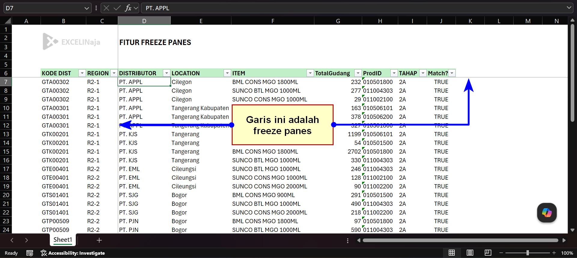 Fitur Freeze Panes Excel