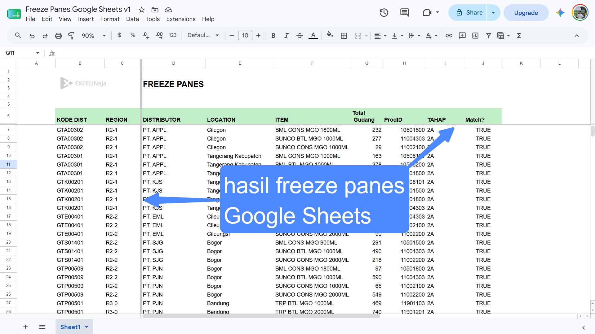 Hasil Freeze panes di Google Sheets