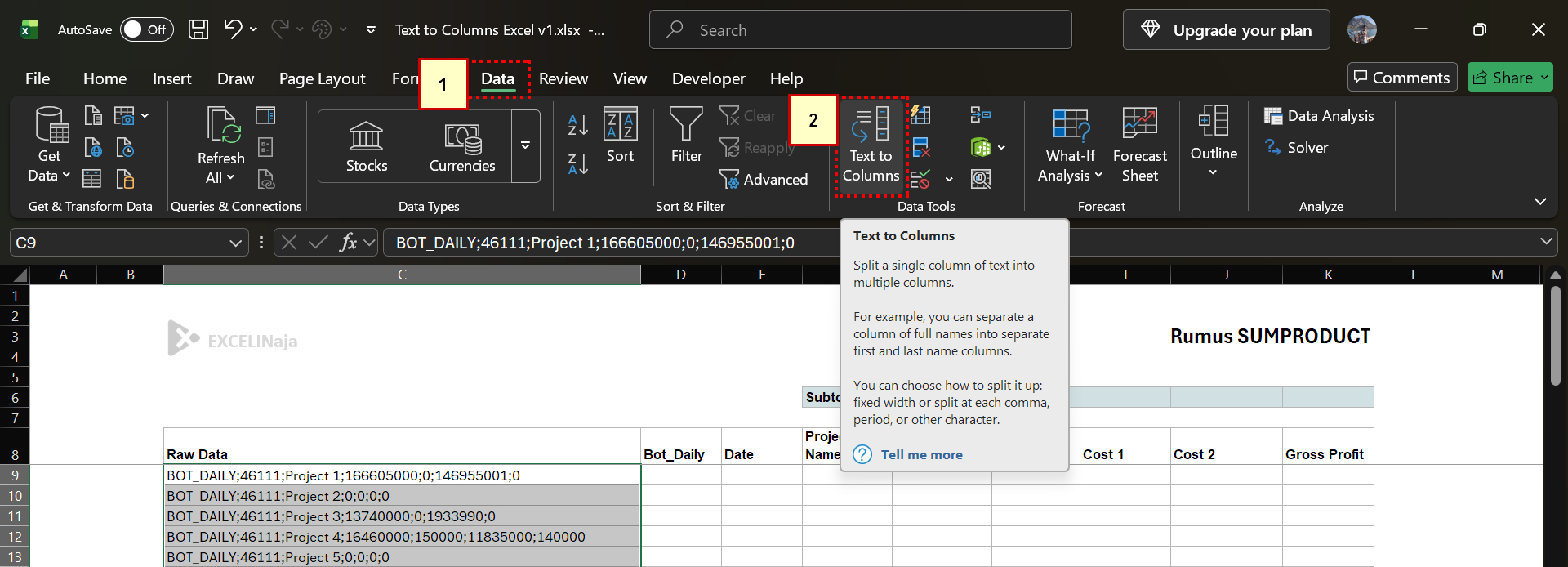 Text to Columns Excel part 1